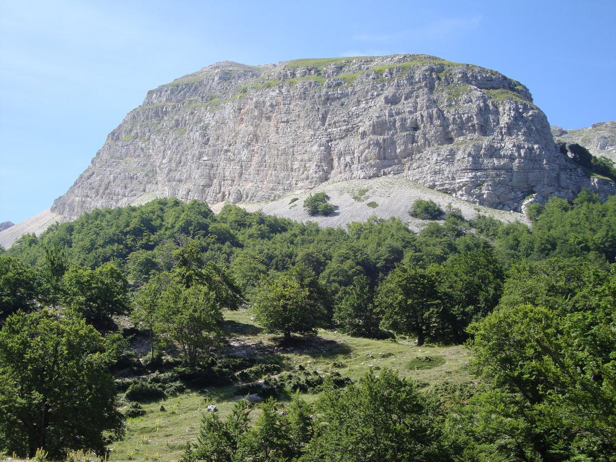 Appartamenti Il Capomandro SantʼAnatolia Værelse billede